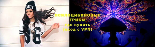 ГАЛЛЮЦИНОГЕННЫЕ ГРИБЫ Алексеевка