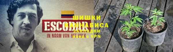ГАЛЛЮЦИНОГЕННЫЕ ГРИБЫ Алексеевка